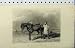 1847 Cart Horse Man Whip Country Scene Engraving Hacker