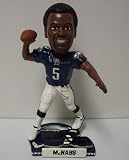 Philadelphia Eagles Donovan McNabb 2009 Helmet Base Bobblehead
