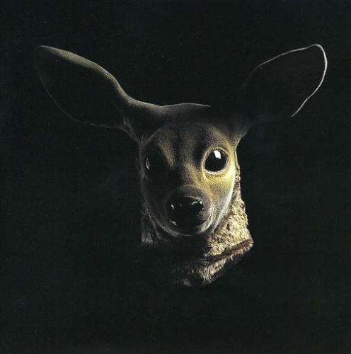 Goodnight Nurse - Keep Me On Your Side - Zortam Music