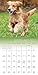 Golden Retrievers 2017 Calendar: Includes Downloadable Wallpaper