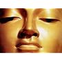 The Dhammapada (The Buddha's Path of Truth)