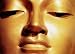 The Dhammapada (The Buddha's Path of Truth)