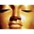 The Dhammapada (The Buddha's Path of Truth)
