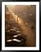 Early Morning on Heng Boun Street, Vientiane, Laos Scenic Framed Art Poster Print by Bernard Napthine, 39x49