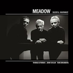 Blissful Ignorance - Meadow