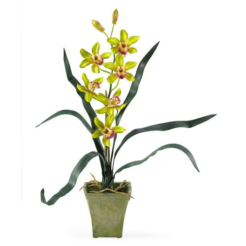 Potted Cymbidium Silk Orchid Arrangement - Green