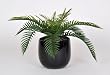 Artificial Sword Fern