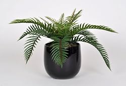 Artificial Sword Fern