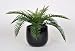 Artificial Sword Fern