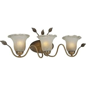 Forte Lighting 5420-03-41 3LT Bath Bracket - Rustic Sienna by Forte Lighting
