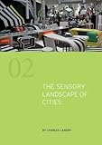The sensory landscape of cities
