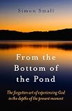 Cover of From the Bottom of the Pond by Simon Small 1846940664
