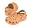 Cantaloupe