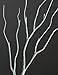 LIGHTSHARE Lighted Tree 4FT 48 LED Lighted Birch Tree for Decoration Inside and Outside, Home Patio Wedding Festival Christmas Decor, Warm White