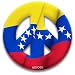 MEYOTO 5.5 Venezuela Cling Decal