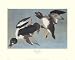 Golden-Eye Duck Giclee Poster Print by John James Audubon, 10x8