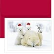Santa Hat Bears Christmas Cards