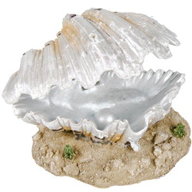 Coquille avec sortie d'air Bivalve, pour aquarium, 9 cm - l'air ouvre le coquillage