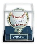 Gold Glove MLB Single Baseball Display Case