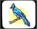 Mouse Pad with blue, jay, jaybird, bird Image
