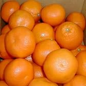 愛媛産　「温泉郷育ち」宮内いよかん　2Lサイズ 10kg