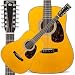 D12 David Crosby 12 String Acoustic Guitar