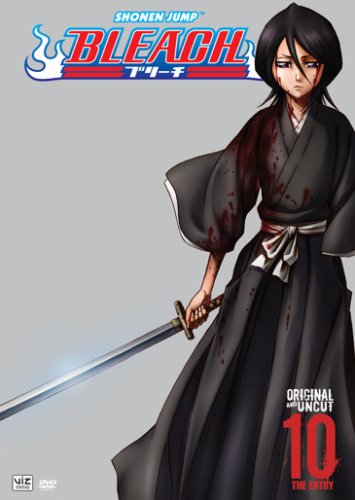 Bleach, Volume 10: The Entry