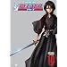 Bleach, Volume 10: The Entry