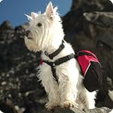 Click for more about Approach Pack 2 Dog Saddlebag Medium 14.8L Red - Ruffwear.