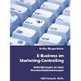E-Business im Marketing-Controlling by Anika Magenheim
