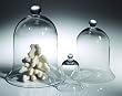 Bell Jar Large