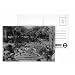Garden of a Suburban Villa, Port of Spain, Trinidad (b/w photo) by English Photographer - Postcard (Pack of 8) - 6x4 inch - Art247 Highest Quality - Standard Size - Pack Of 8