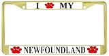 I Love My Newfoundland Paw Prints Dog Gold Metal License Plate Frame Holder