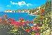 Panorama Of Dubrovnik Croatia Postcard 1971