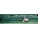 Kittywalk Systems Inc KW100 - Kittywalk Outdoor Net Cat Enclosure for Lawns 