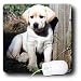 Dogs Labrador Retriever - Cute Yellow Lab Puppy - Mouse Pads
