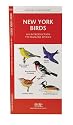 New York Birds