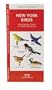 New York State Birds: An Introduction to Familiar Species (State Nature Guides)
