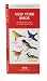 New York Birds