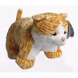 Name Tabby Cat Pillow Toy