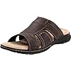 ... Hush Puppies Men's Whip It Slide Sandal,Black Leather,15 XW US: Shoes ... Hush Puppies Men's Whip It Slide Sandal,Black Leather,15 XW US: Shoes