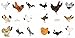 1 to 20, Animals Aplenty