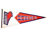 Charlotte Bobcats Large Classic Pennant
