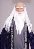 Wizard Adult Disguise Set