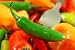 Hot Peppers - 24