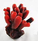Aquarium Fish Tank Silicone Sea Anemone Artificial Coral Ornament SH9018 red
