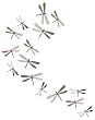 Umbra Wallflutter Wall Décor, Set of 20