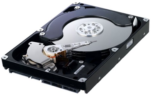 Childrens Toyshop  PC Hardware : Samsung Spinpoint F1 HD103UJ 1TB 3,5 Zoll SATA II Festplatte (7200RPM, 32MB Cache)