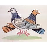 Kalighat painting of a pair of pigeons (Print On Demand)