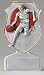 Male / Female Basketball Icon Series Award Trophy